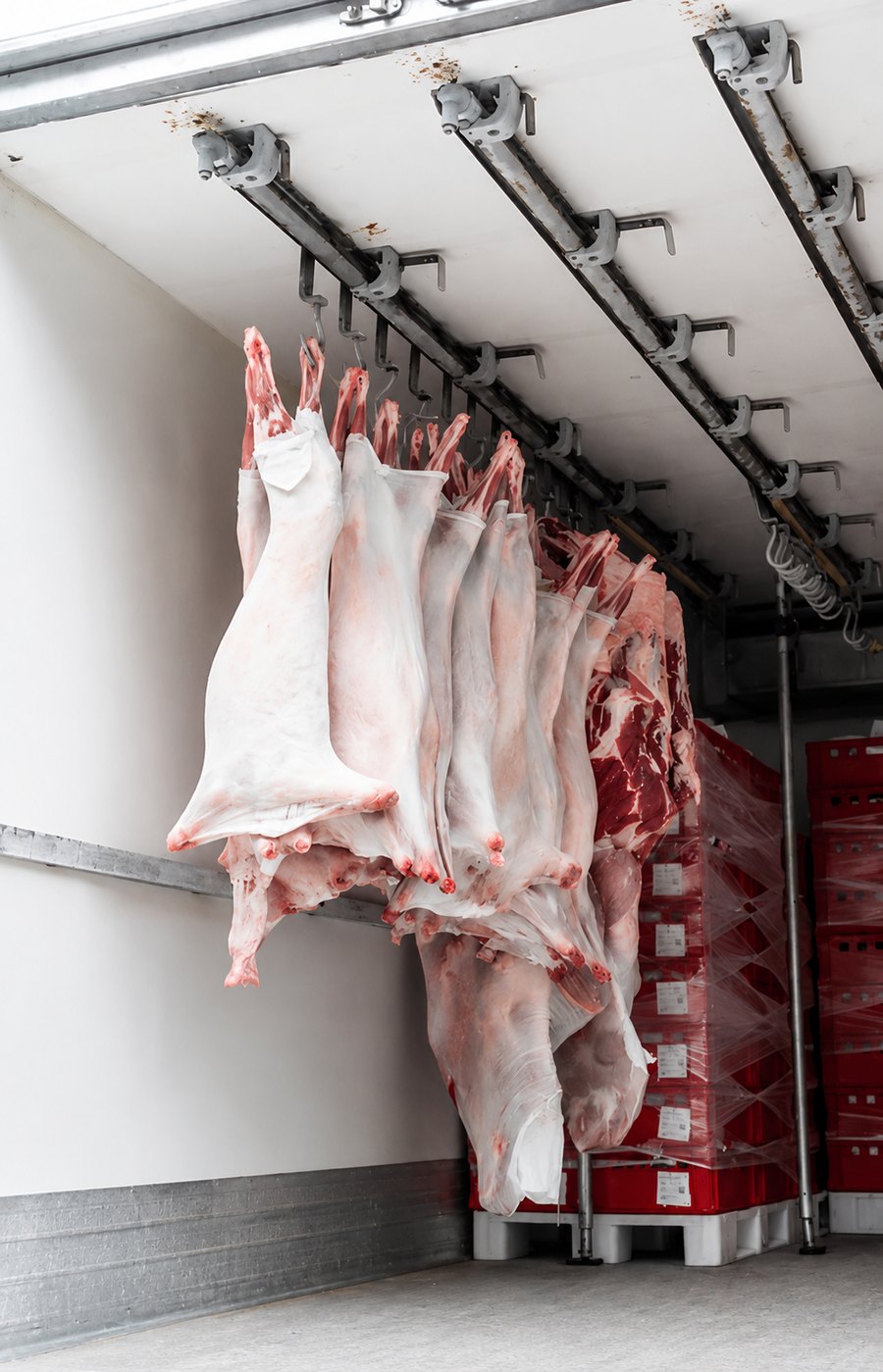 Bagged carcasses hanging inside a refrigerated trailer, loaded beside stacked crates.
