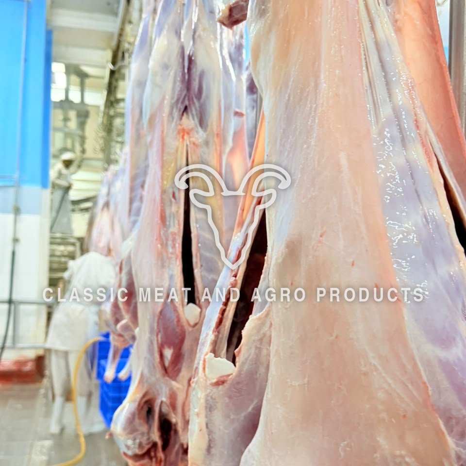 Close view of dressed carcasses on the line, with staff and blue crates behind.
